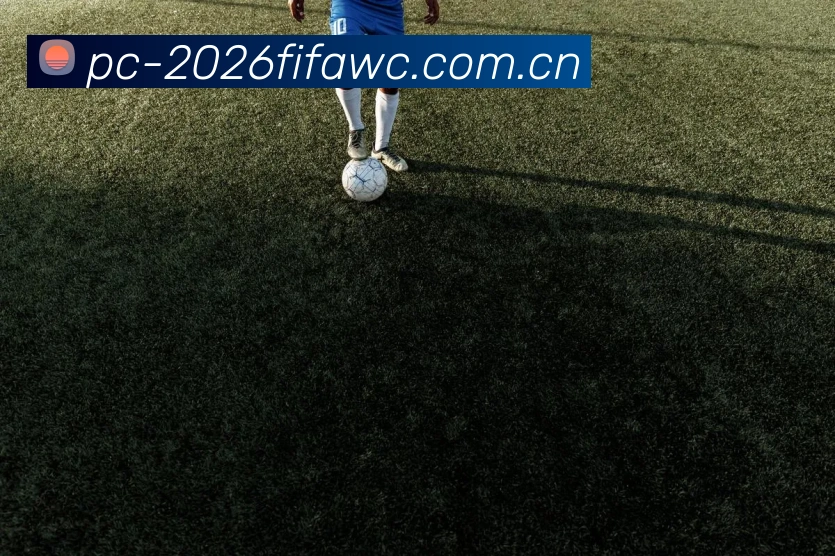 FIFA 官方数据授权认证
